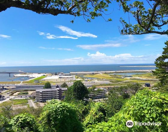 石卷市 自由行套票