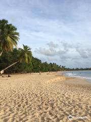 Grande Anse des Salines