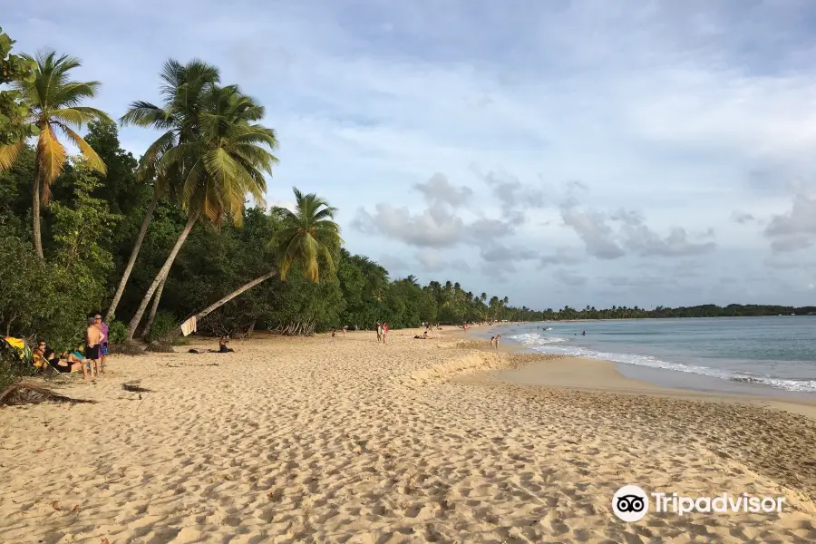 Grande Anse des Salines