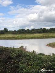 RSPB Bowling Green Marsh