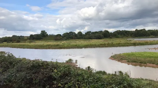 RSPB Bowling Green Marsh