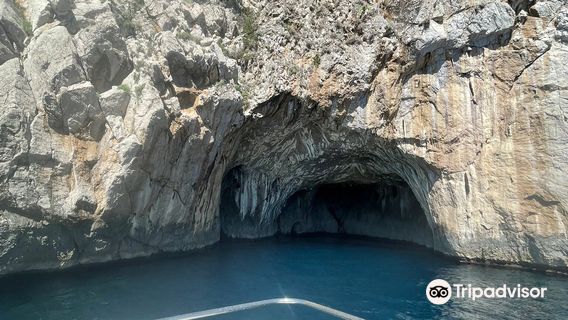 La Boa charter & diving