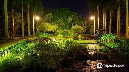 Jardin Botanico Culiacan