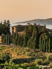 Cantina Castelvecchi in Chianti