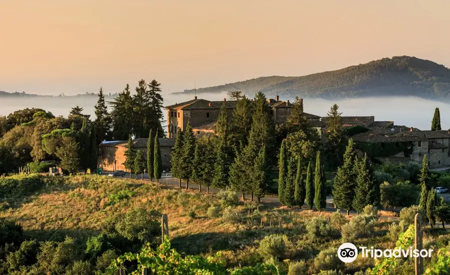 Cantina Castelvecchi in Chianti