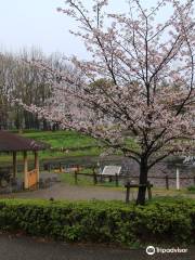 Hidaka Park