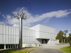 VISUAL Carlow