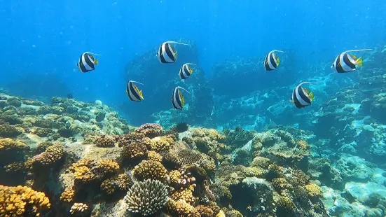 Nevis Ernesta La Digue Boat Excursions