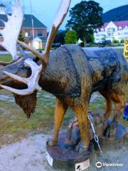 Pemi Valley Moose Tours