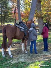 C and L Stables