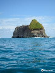 Oceans Unlimited scuba diving & Go Pro Costa Rica