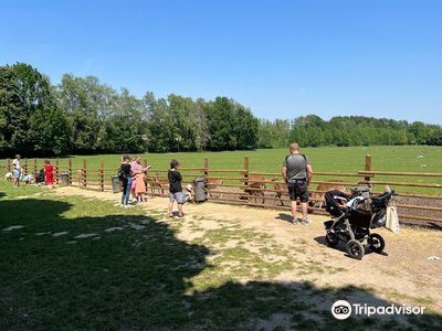 Wildpark Poing