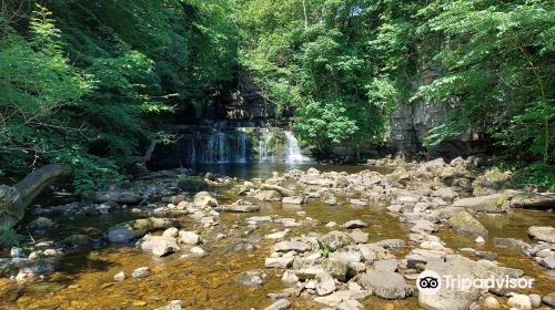 Cotter Force