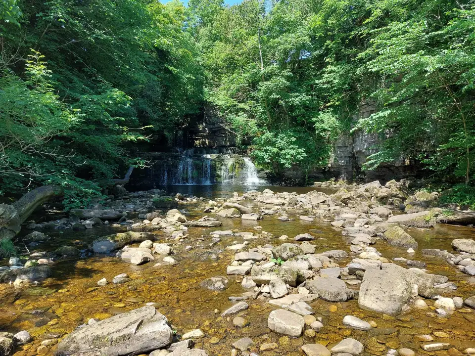 3_Cotter Force