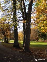 Jardín Botánico Rombergpark