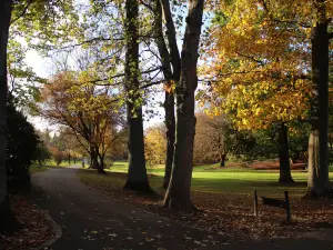 Rombergpark Botanical Garden