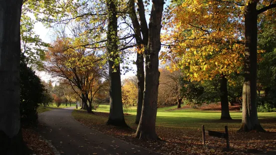 Rombergpark Botanical Garden