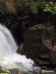 Vazhvanthol Waterfalls