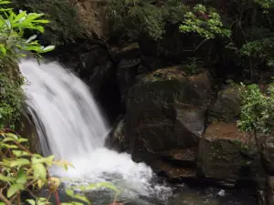 Vazhvanthol Waterfalls