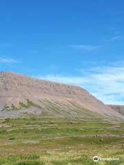 Hornstrandir Nature Reserve