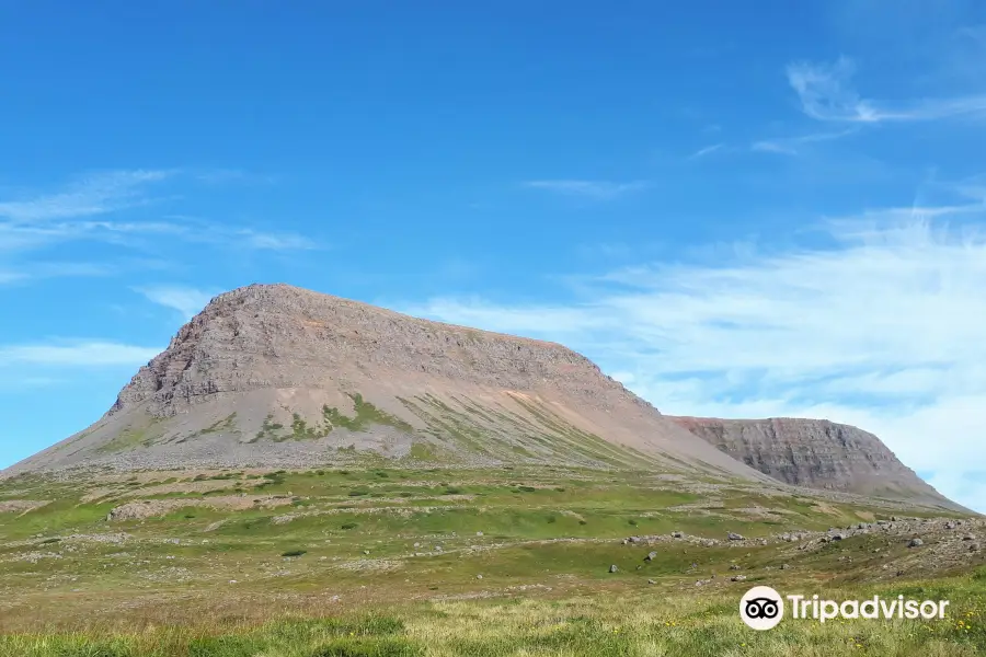 Hornstrandir Nature Reserve