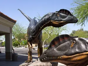 Museo de Historia Natural de Arizona