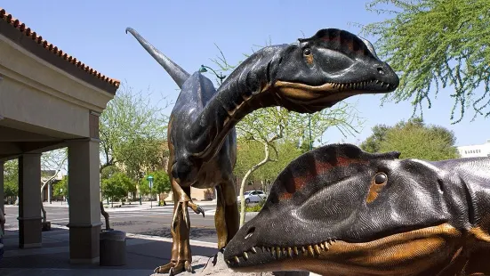 Arizona Museum of Natural History