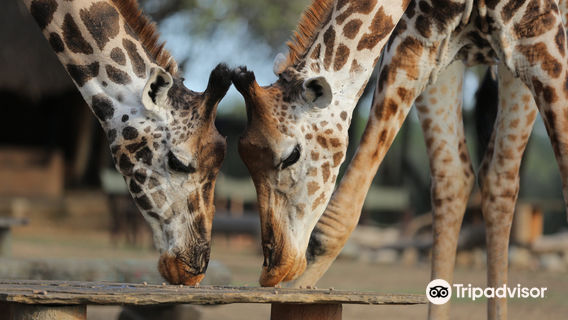 Nguuni Nature Sanctuary