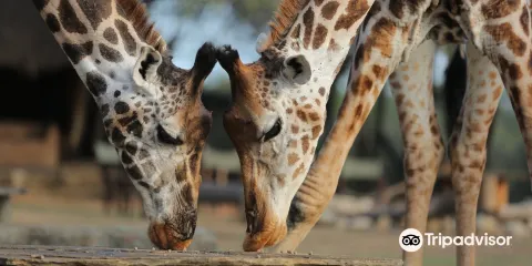 Nguuni Nature Sanctuary