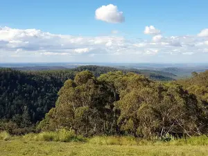 Bunya Mountains National Park