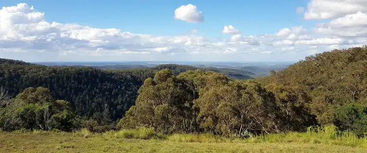 Bunya Mountains