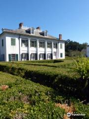 Evergreen Plantation