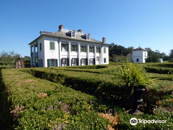 Evergreen Plantation