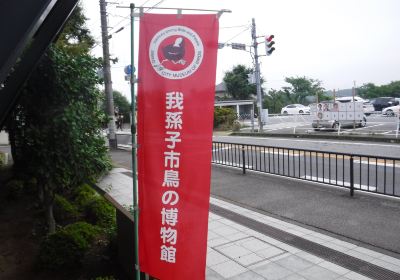 Abiko City Museum of Birds