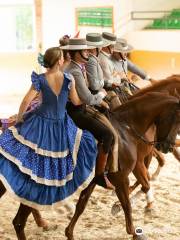 Ritmo a Caballo & Andalusian Night