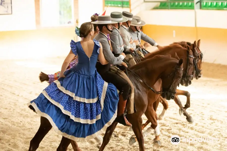 Ritmo a Caballo & Andalusian Night