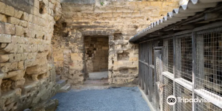 Castle Ruins & Velvet Cave