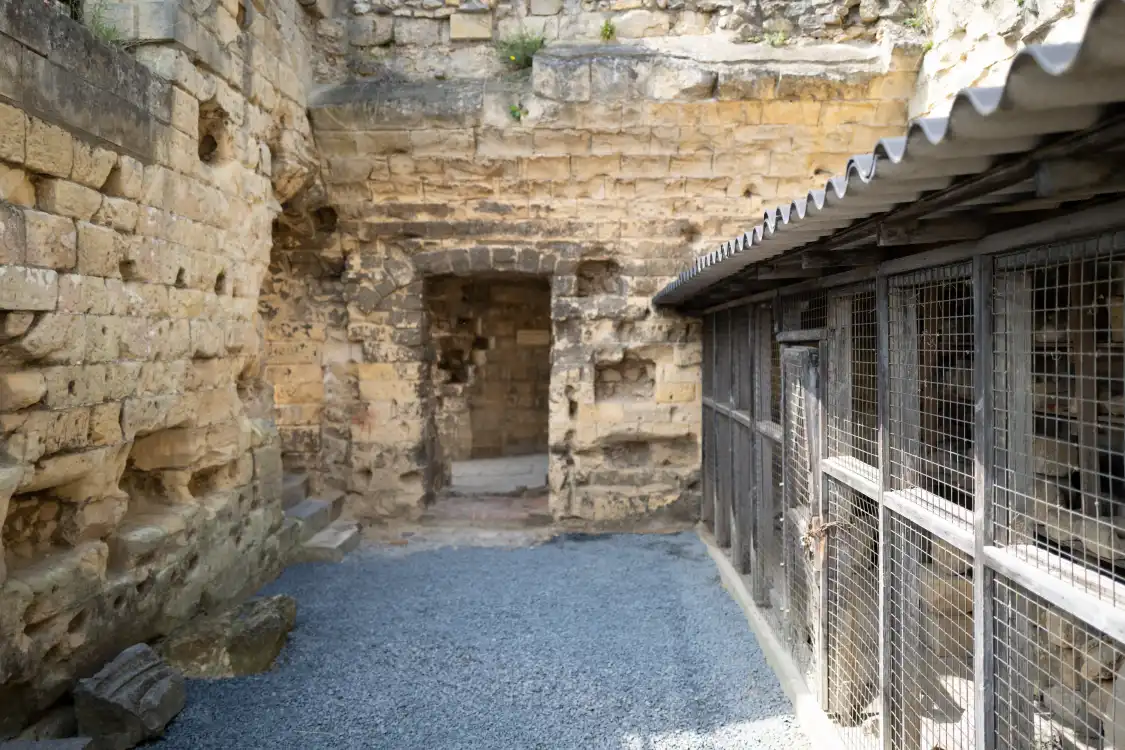 Hotels near Velvet Cave