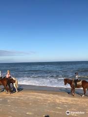 Equestrian Adventures of Florida