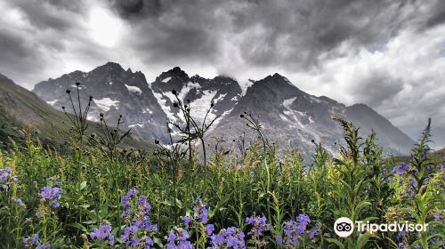 Gallery Alpe Alpine Botanical Garden Lautaret