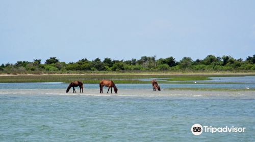 Cedar Island National Wildlife Refuge