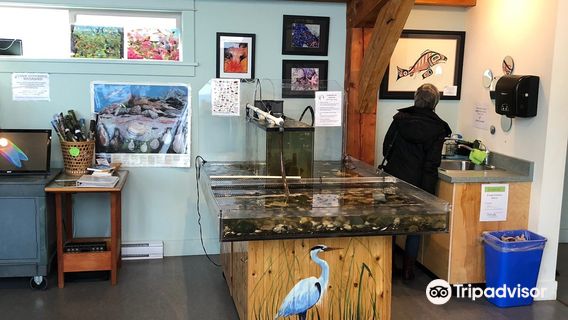 Cowichan Estuary Nature Centre