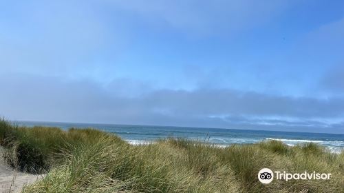 Tolowa Dunes State Park