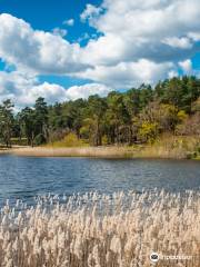 Frensham Little Pond