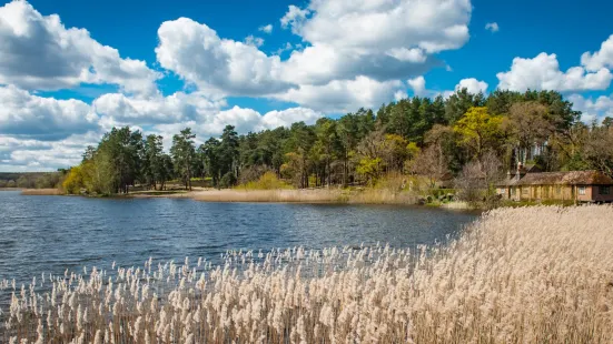 Frensham Little Pond