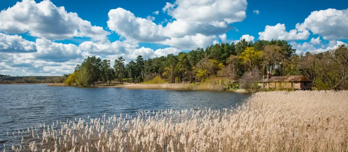 Отели рядом с достопримечательностью «Frensham Little Pond»