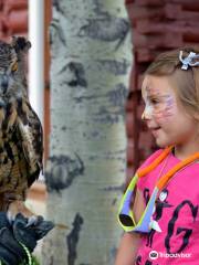 Teton Raptor Center