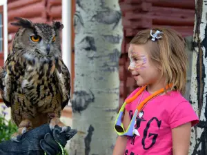 Teton Raptor Center