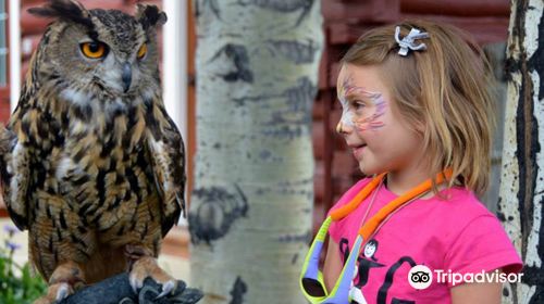 Teton Raptor Center