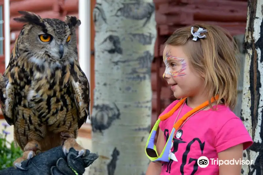 Teton Raptor Center